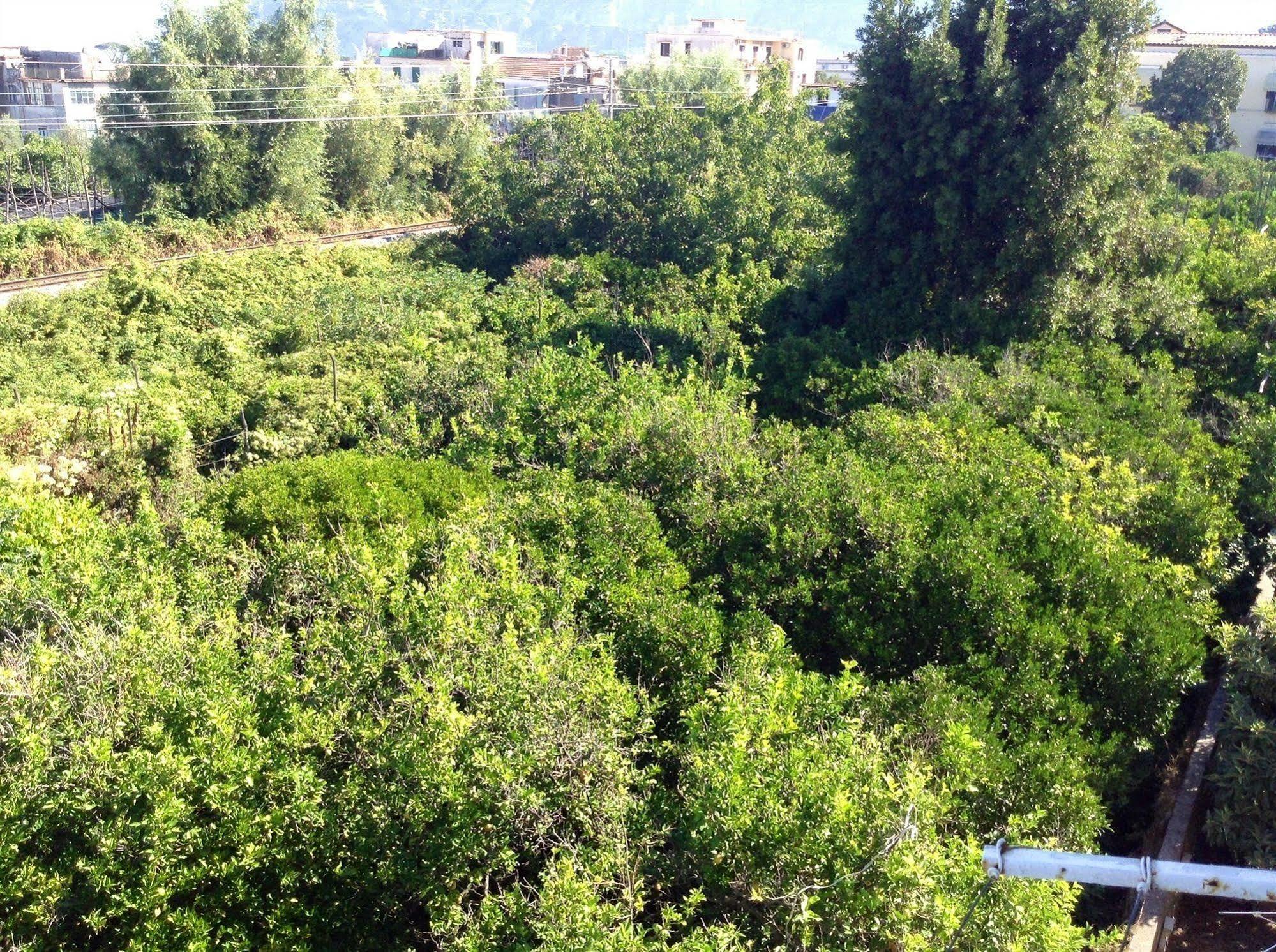 B&B Casa Vienna Sant'Agnello Luaran gambar